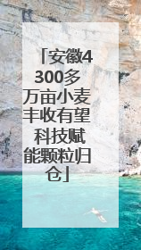 安徽4300多万亩小麦丰收有望 科技赋能颗粒归仓