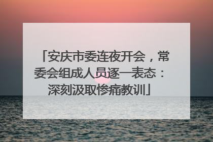 安庆市委连夜开会，常委会组成人员逐一表态：深刻汲取惨痛教训