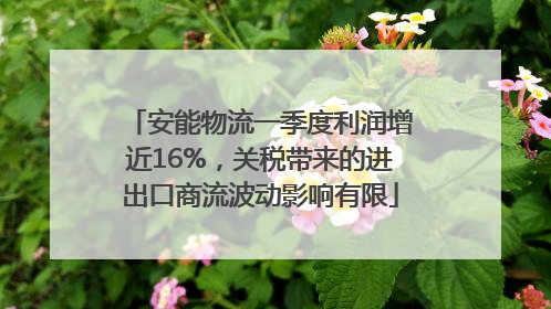安能物流一季度利润增近16%，关税带来的进出口商流波动影响有限