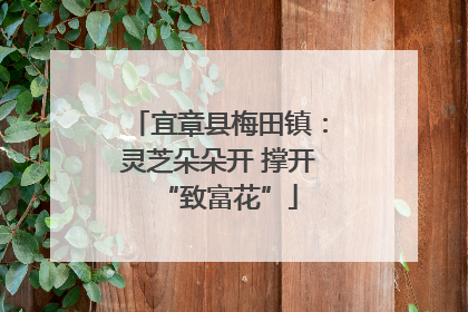 宜章县梅田镇：灵芝朵朵开 撑开“致富花”