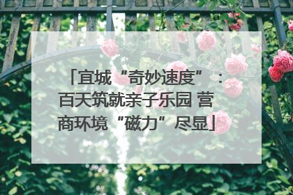 宜城“奇妙速度”：百天筑就亲子乐园 营商环境“磁力”尽显