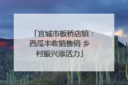 宜城市板桥店镇：西瓜丰收销售俏 乡村振兴添活力