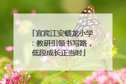 宜宾江安蟠龙小学：教研引领书写路，低段成长正当时