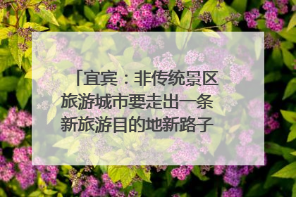 宜宾：非传统景区旅游城市要走出一条新旅游目的地新路子｜话锦绣·说安逸