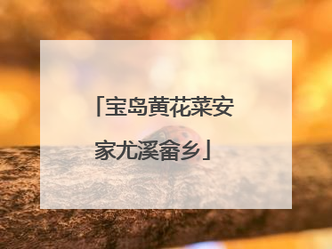 宝岛黄花菜安家尤溪畲乡