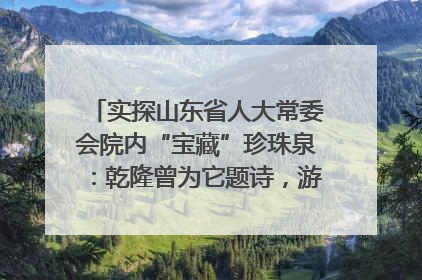 实探山东省人大常委会院内“宝藏”珍珠泉：乾隆曾为它题诗，游客无需预约免费游览