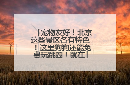 宠物友好！北京这些景区各有特色！这里狗狗还能免费玩跳圈！就在