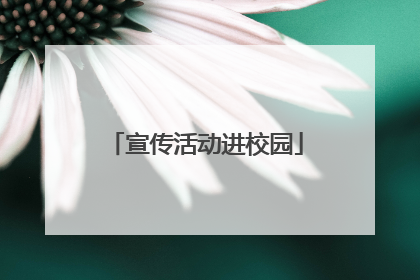 宣传活动进校园