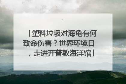 塑料垃圾对海龟有何致命伤害？世界环境日，走进开普敦海洋馆