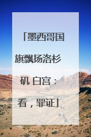 墨西哥国旗飘扬洛杉矶 白宫：看，罪证