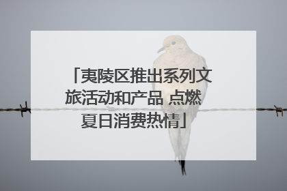 夷陵区推出系列文旅活动和产品 点燃夏日消费热情