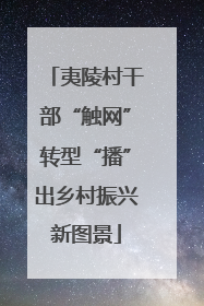 夷陵村干部“触网”转型“播”出乡村振兴新图景