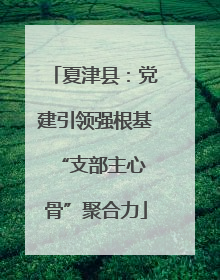 夏津县：党建引领强根基 “支部主心骨”聚合力
