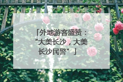 外地游客盛赞：“大美长沙，大美长沙民警”