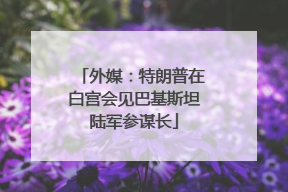 外媒：特朗普在白宫会见巴基斯坦陆军参谋长