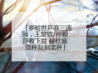 多哈世乒赛三连冠，王楚钦/孙颖莎收下兹·赫杜塞克杯复刻奖杯