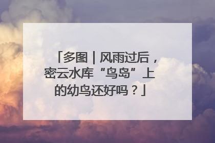 多图｜风雨过后，密云水库“鸟岛”上的幼鸟还好吗？