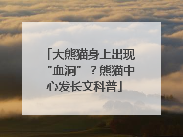 大熊猫身上出现“血洞”？熊猫中心发长文科普
