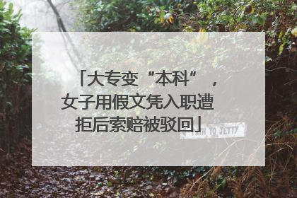 大专变“本科”，女子用假文凭入职遭拒后索赔被驳回
