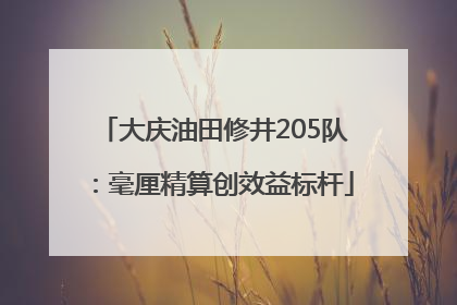 大庆油田修井205队：毫厘精算创效益标杆