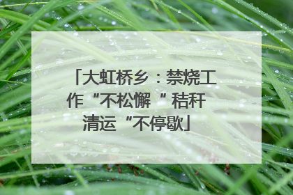 大虹桥乡：禁烧工作“不松懈“ 秸秆清运“不停歇