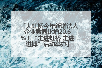 大虹桥今年新增法人企业数同比增20.6%！“走进虹桥 走进进博”活动举办