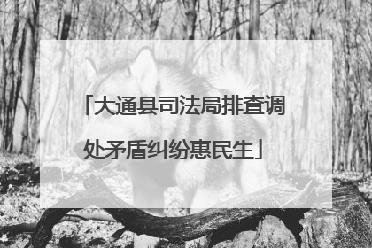 大通县司法局排查调处矛盾纠纷惠民生