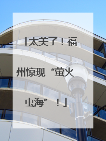 太美了！福州惊现“萤火虫海”！