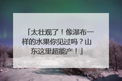 太壮观了！像瀑布一样的水果你见过吗？山东这里超能产！
