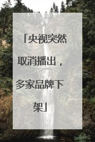 央视突然取消播出，多家品牌下架