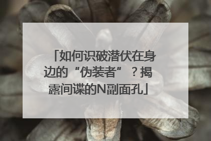如何识破潜伏在身边的“伪装者”？揭露间谍的N副面孔