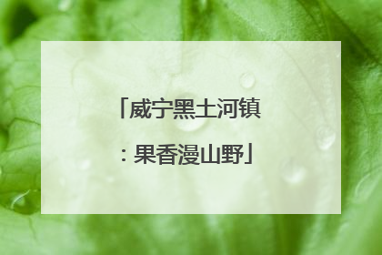 威宁黑土河镇:果香漫山野