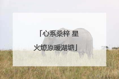 心系桑梓 星火燎原暖湖塘