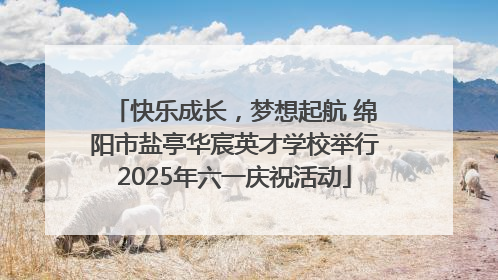 快乐成长，梦想起航 绵阳市盐亭华宸英才学校举行2025年六一庆祝活动