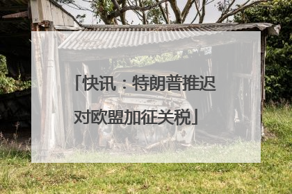 快讯：特朗普推迟对欧盟加征关税