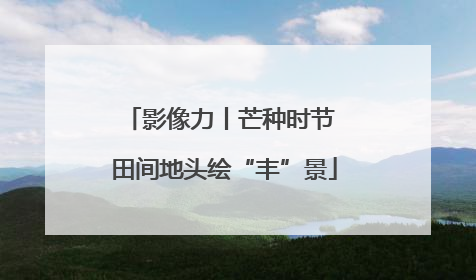 影像力丨芒种时节 田间地头绘“丰”景