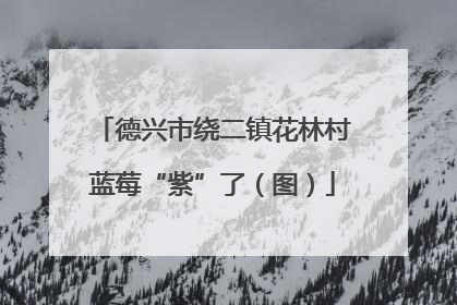 德兴市绕二镇花林村蓝莓“紫”了（图）