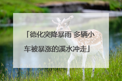德化突降暴雨 多辆小车被暴涨的溪水冲走
