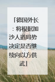 德国外长：将根据加沙人道局势决定是否继续向以方供武