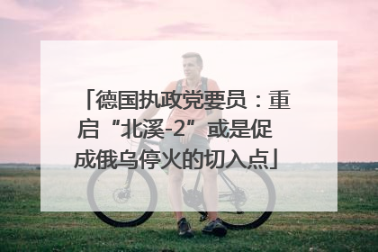 德国执政党要员：重启“北溪-2”或是促成俄乌停火的切入点