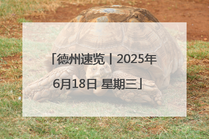 德州速览丨2025年6月18日 星期三