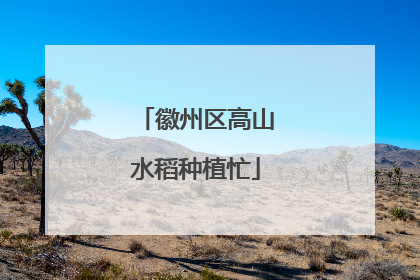 徽州区高山水稻种植忙