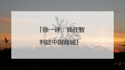 徐一评：我在智利建中国商城
