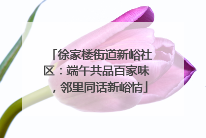 徐家楼街道新峪社区：端午共品百家味，邻里同话新峪情