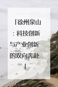 徐州泉山：科技创新与产业创新的双向奔赴