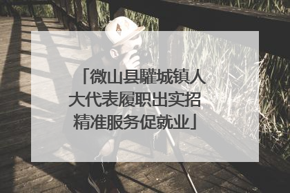 微山县驩城镇人大代表履职出实招精准服务促就业