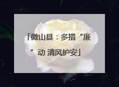 微山县：多措“廉”动 清风护安