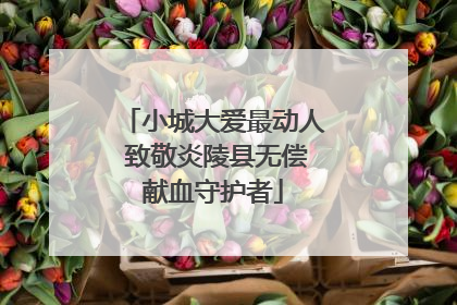 小城大爱最动人 致敬炎陵县无偿献血守护者