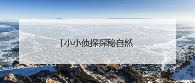 小小侦探探秘自然 端午文化焕发新光