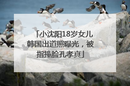 小沈阳18岁女儿韩国出道照曝光，被指撞脸孔孝真